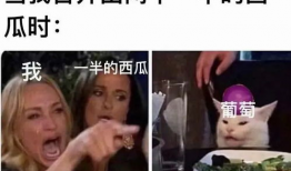 沙雕娱乐圈吃瓜小说推荐,揭秘明星背后的疯狂故事